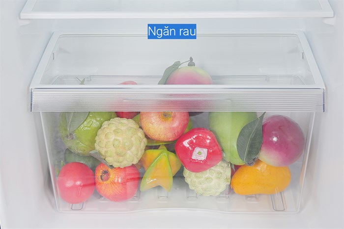 Tủ Lạnh Toshiba Inverter 249 Lít GR-RT325WE-PMV(06)-MG